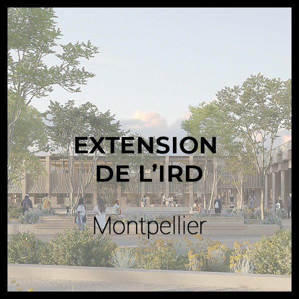 ird_recto_vignettes-600×600